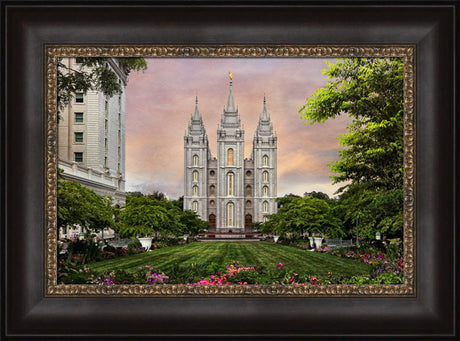 Salt Lake Temple - Holy Places Series by Robert A Boyd