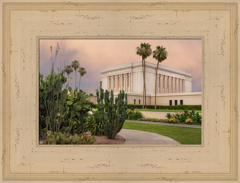 Mesa Temple - Cactus Path by Robert A Boyd