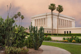 Mesa Temple - Cactus Path by Robert A Boyd