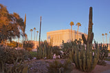 Mesa Temple - Cactus by Robert A Boyd