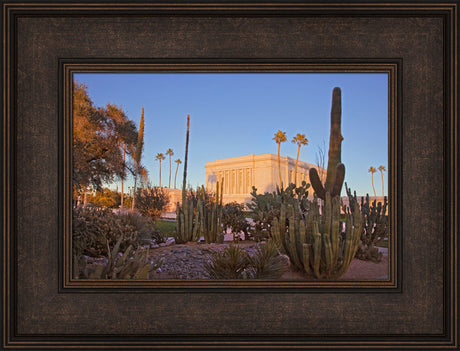 Mesa Temple - Cactus by Robert A Boyd