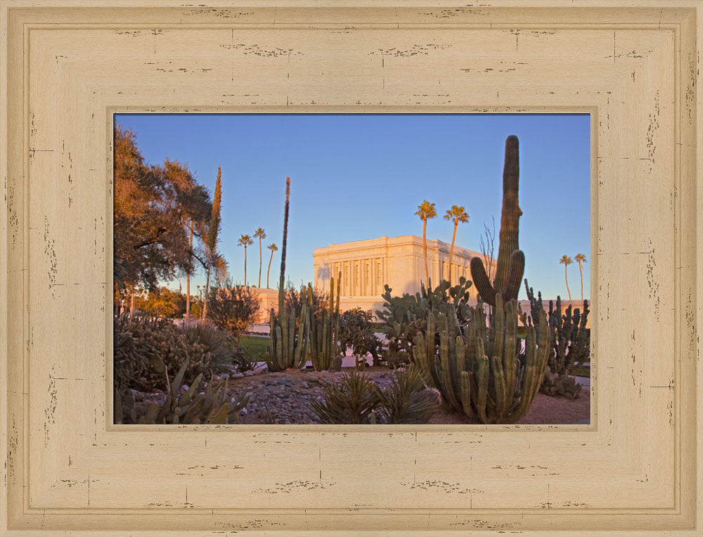 Mesa Temple - Cactus by Robert A Boyd