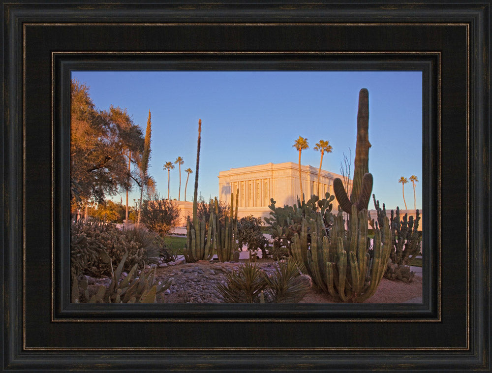 Mesa Temple - Cactus by Robert A Boyd