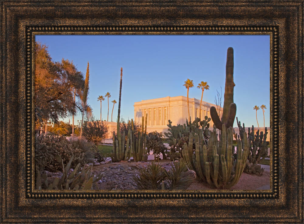Mesa Temple - Cactus by Robert A Boyd