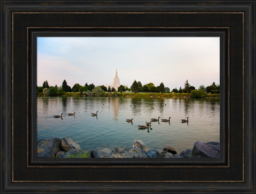 Idaho Falls Temple - River by Robert A Boyd