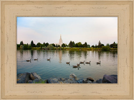 Idaho Falls Temple - River by Robert A Boyd