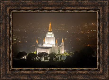 Oakland Temple - Night Vista by Robert A Boyd