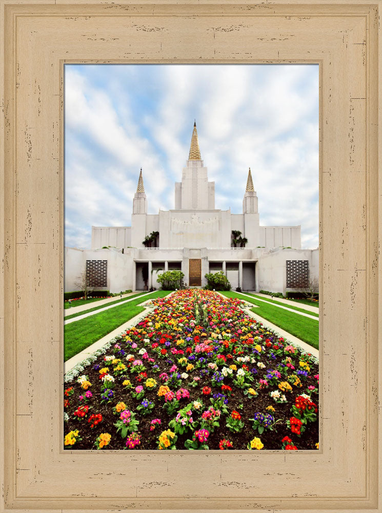 Oakland Temple - Flowers by Robert A Boyd