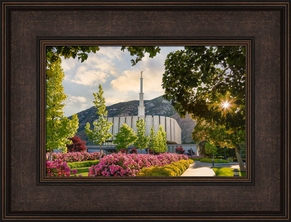 Provo Temple - Pink Roses by Robert A Boyd