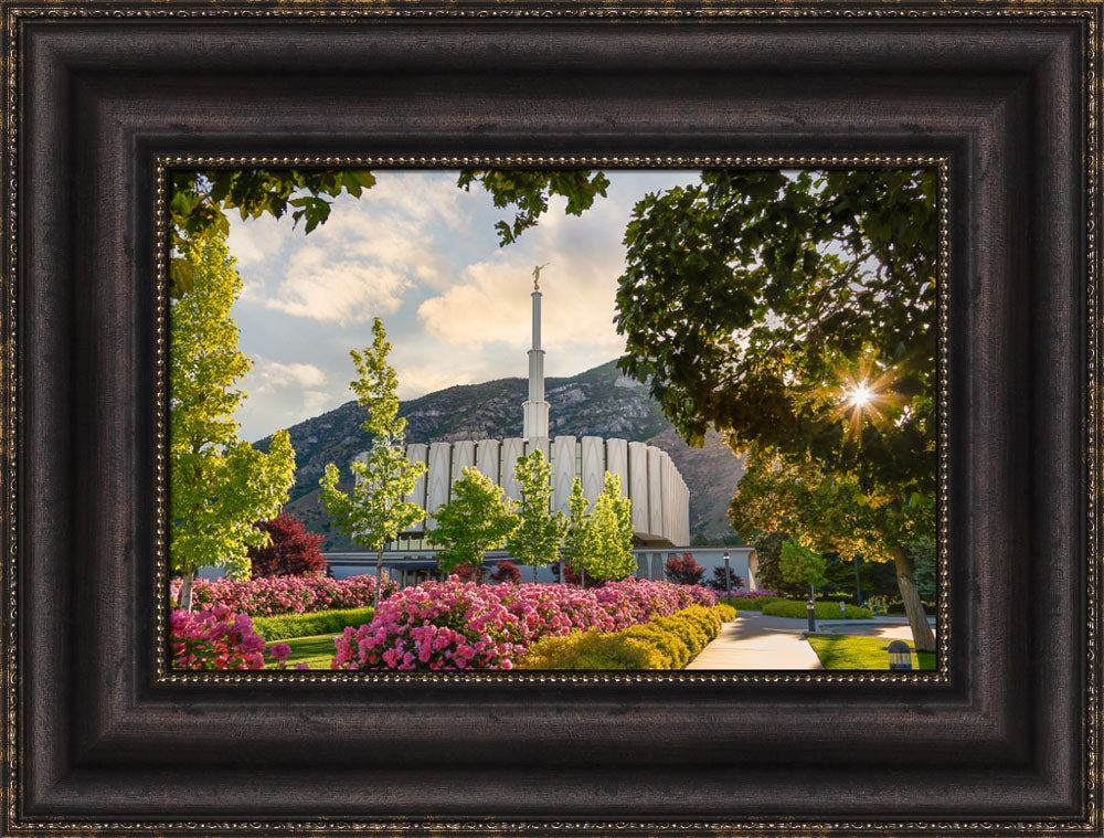 Provo Temple - Pink Roses by Robert A Boyd