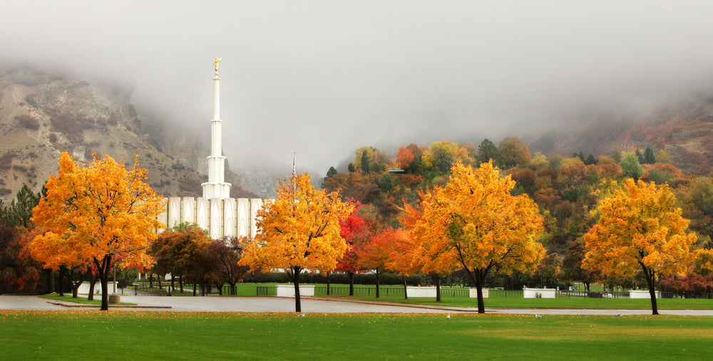 Provo Temple - Autumn Trees by Robert A Boyd