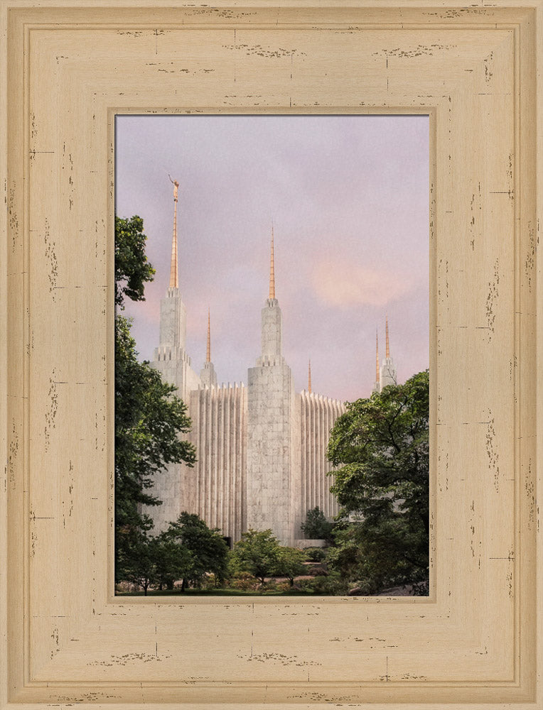 Washington DC Temple - Side Textured by Robert A Boyd