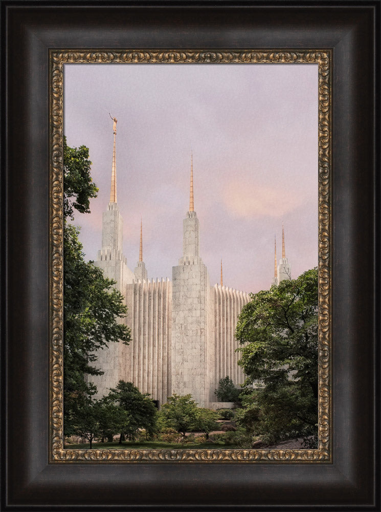 Washington DC Temple - Side Textured by Robert A Boyd