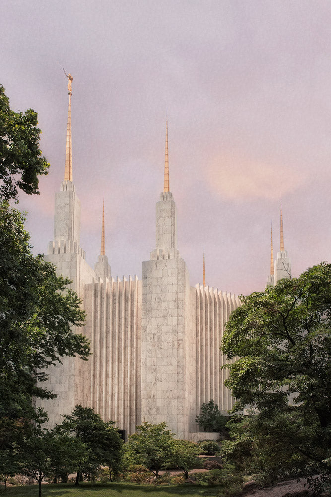 Washington DC Temple - Side Textured by Robert A Boyd