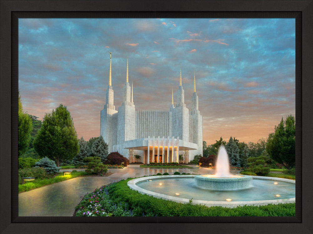 Washington DC Temple - Covenant Path Series by Robert A Boyd