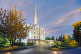 Seattle Temple - Evening Light by Robert A Boyd