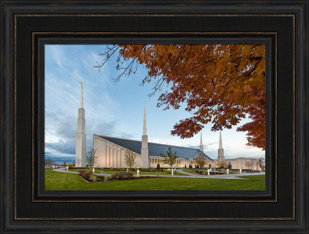 Boise Temple - Fall Trees by Robert A Boyd