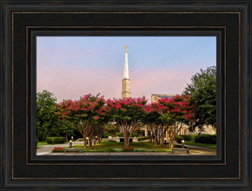 Dallas Temple - Flowering Trees by Robert A Boyd