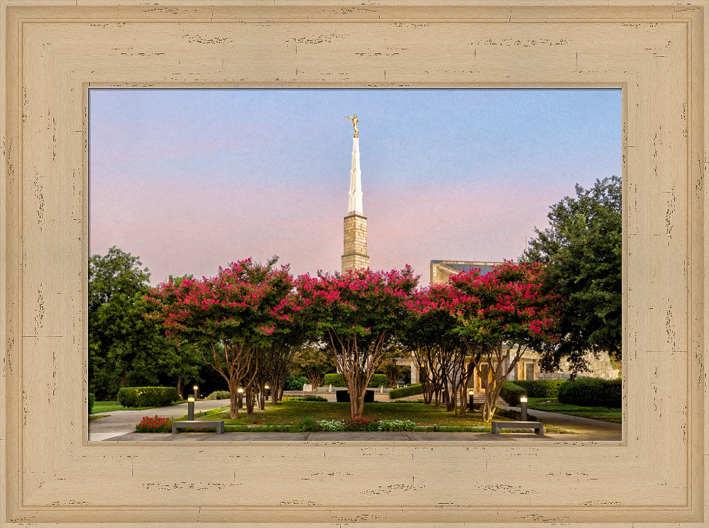 Dallas Temple - Flowering Trees by Robert A Boyd