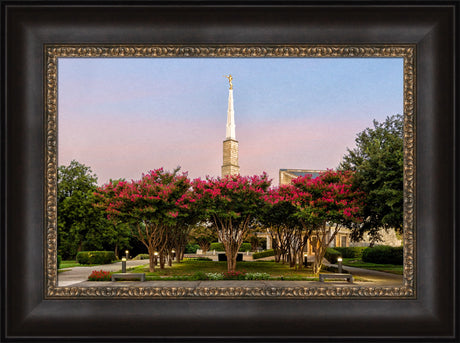 Dallas Temple - Flowering Trees by Robert A Boyd