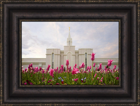 Bountiful Temple - Tulips by Robert A Boyd