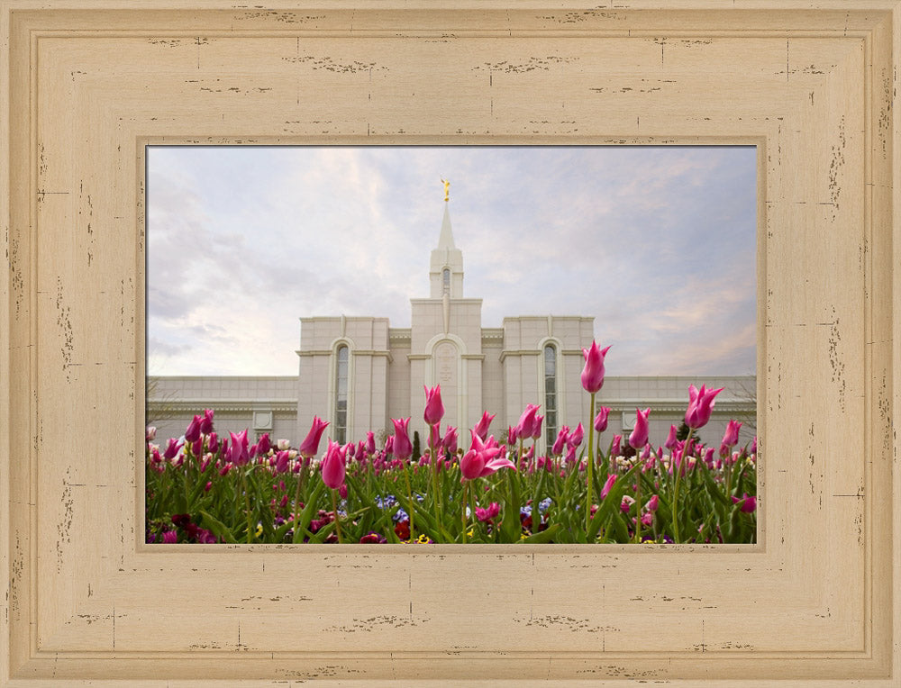 Bountiful Temple - Tulips by Robert A Boyd