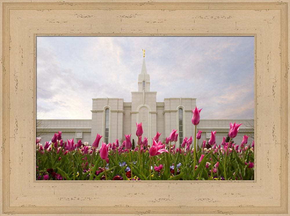 Bountiful Temple - Tulips by Robert A Boyd