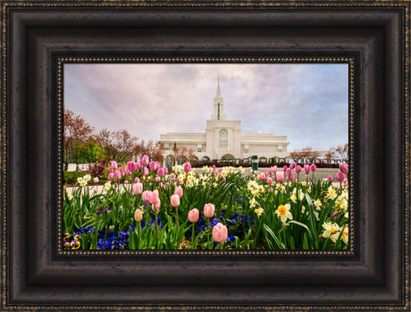 Bountiful Temple - Pink and Yellow Tulips by Robert A Boyd