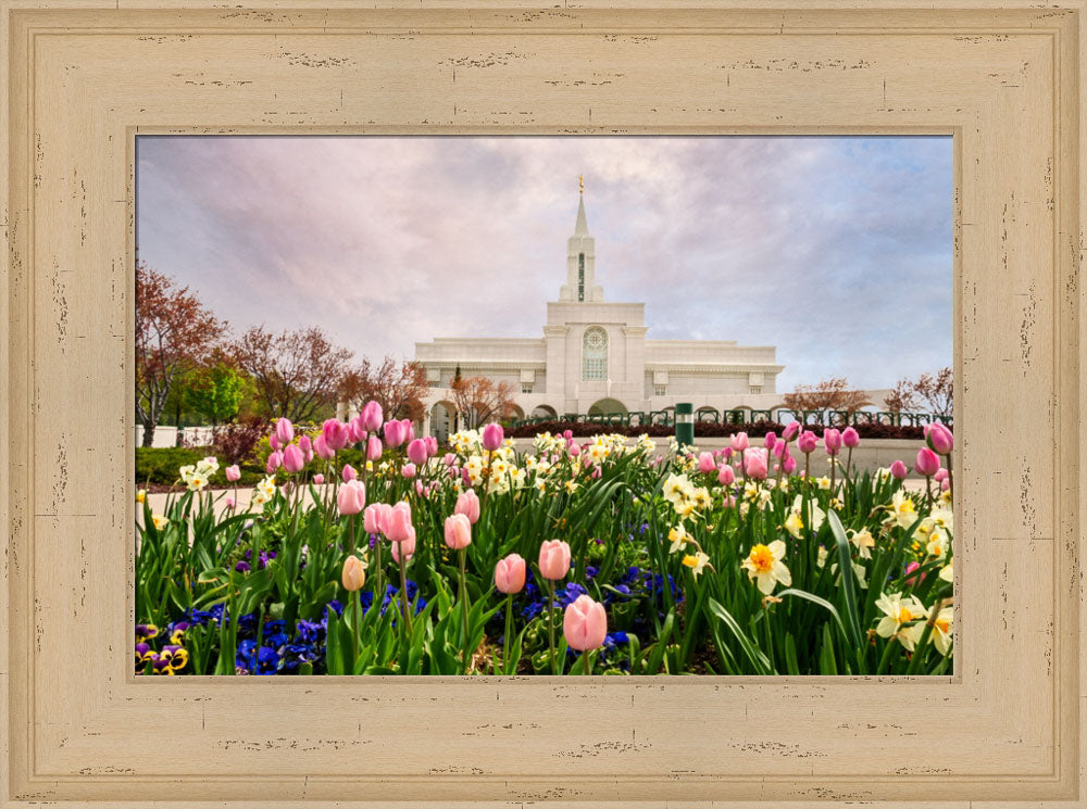 Bountiful Temple - Pink and Yellow Tulips by Robert A Boyd