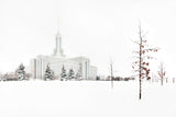 Mt Timpanogos Temple - Snow Red Leaves by Robert A Boyd