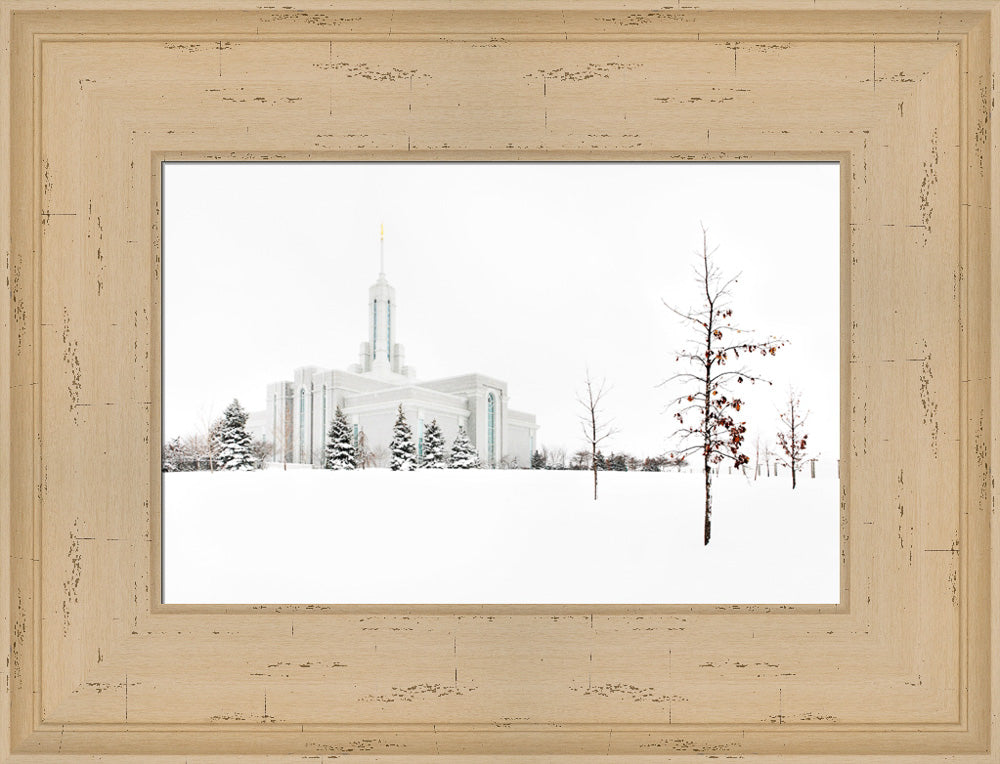 Mt Timpanogos Temple - Snow Red Leaves by Robert A Boyd