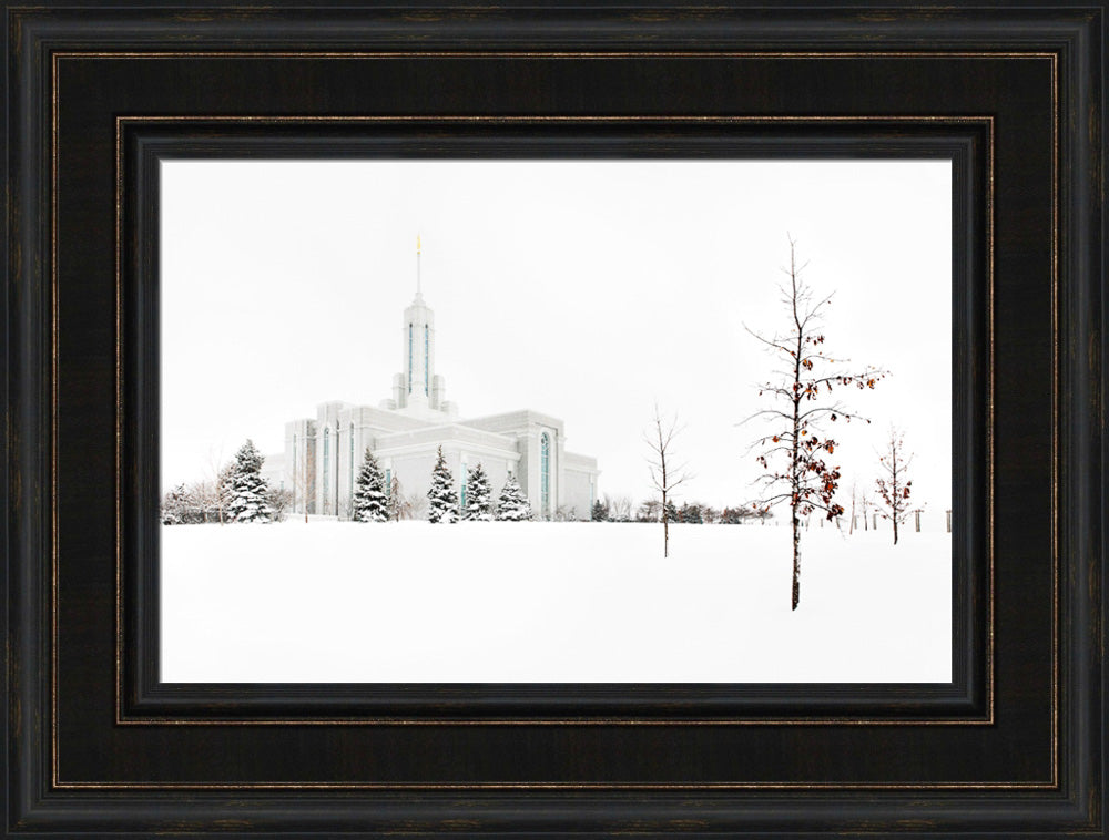 Mt Timpanogos Temple - Snow Red Leaves by Robert A Boyd