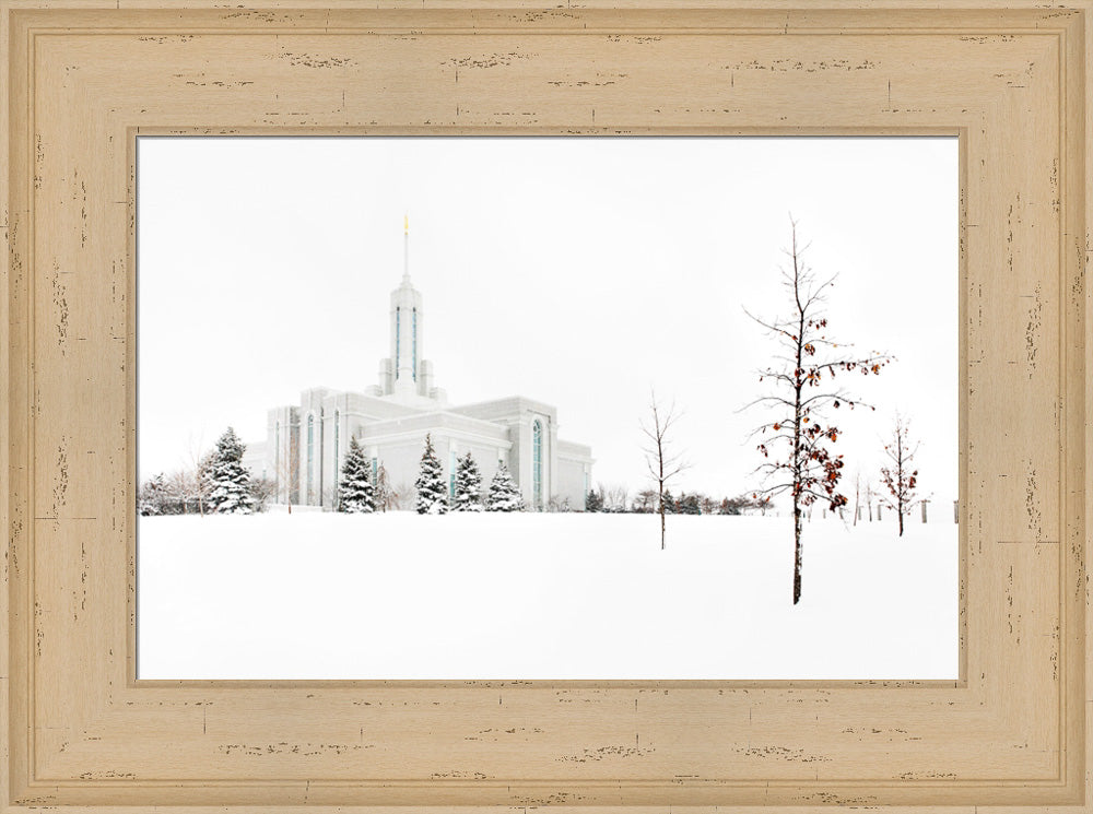 Mt Timpanogos Temple - Snow Red Leaves by Robert A Boyd