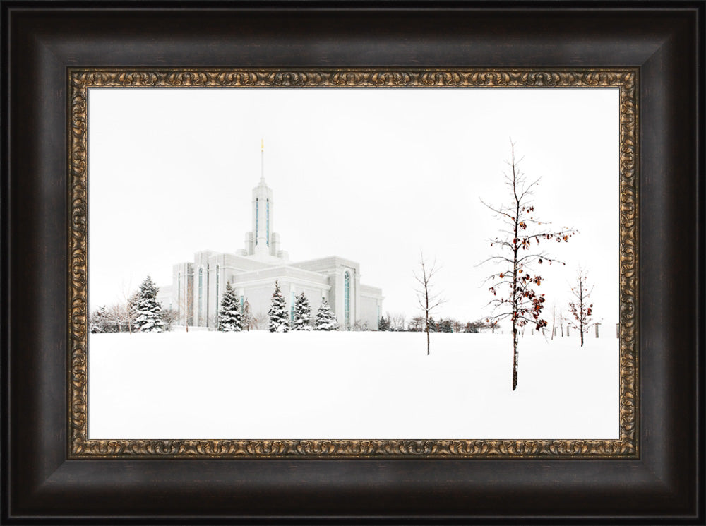 Mt Timpanogos Temple - Snow Red Leaves by Robert A Boyd