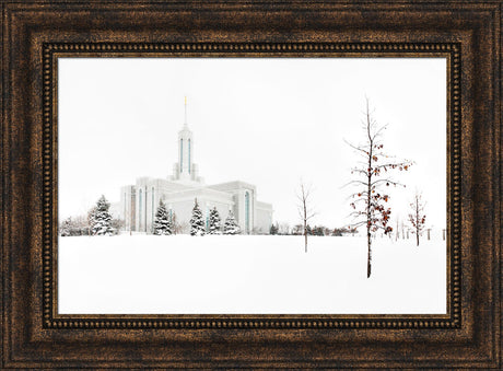 Mt Timpanogos Temple - Snow Red Leaves by Robert A Boyd