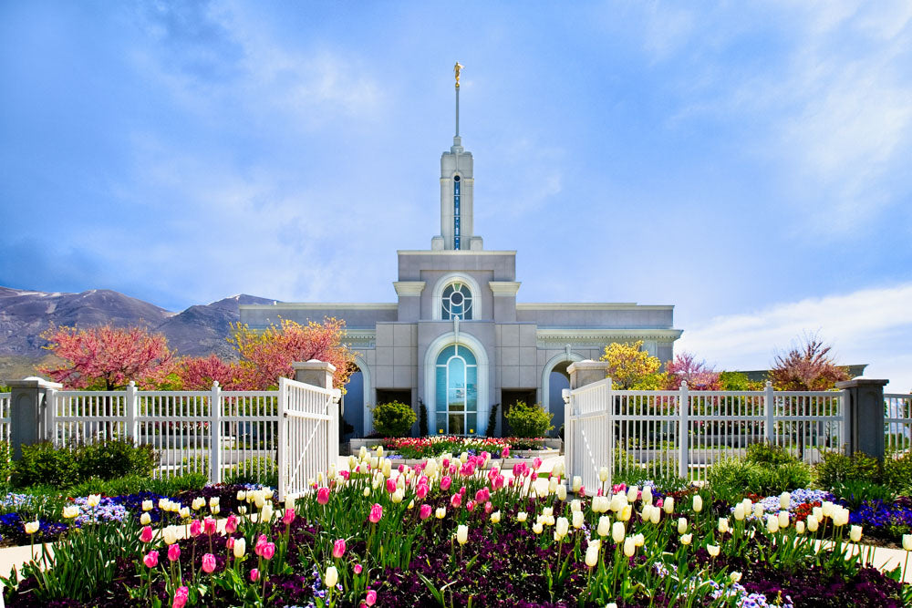 Mt Timpanogos Temple - Spring Tulips by Robert A Boyd