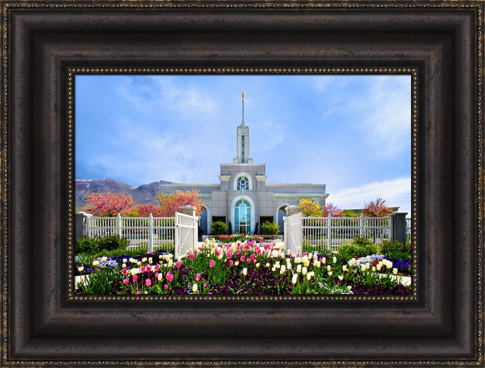 Mt Timpanogos Temple - Spring Tulips by Robert A Boyd