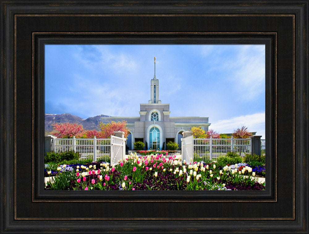 Mt Timpanogos Temple - Spring Tulips by Robert A Boyd