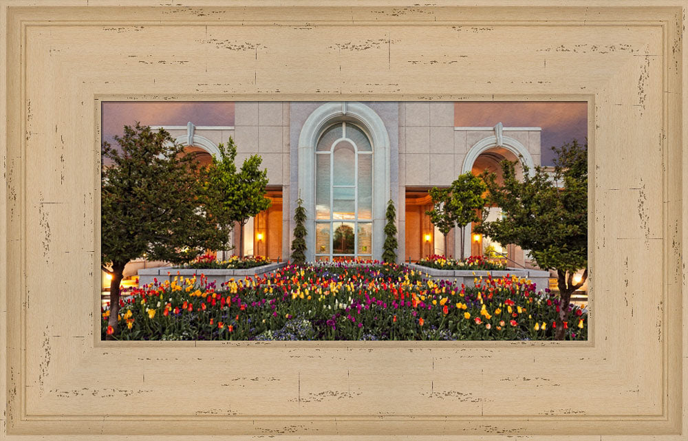 Mt Timpanogos Temple - Blooming Spring by Robert A Boyd