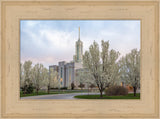 Mt Timpanogos Temple - Spring Blossoms by Robert A Boyd