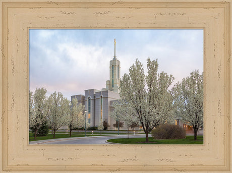 Mt Timpanogos Temple - Spring Blossoms by Robert A Boyd