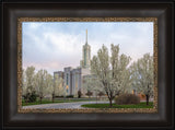 Mt Timpanogos Temple - Spring Blossoms by Robert A Boyd