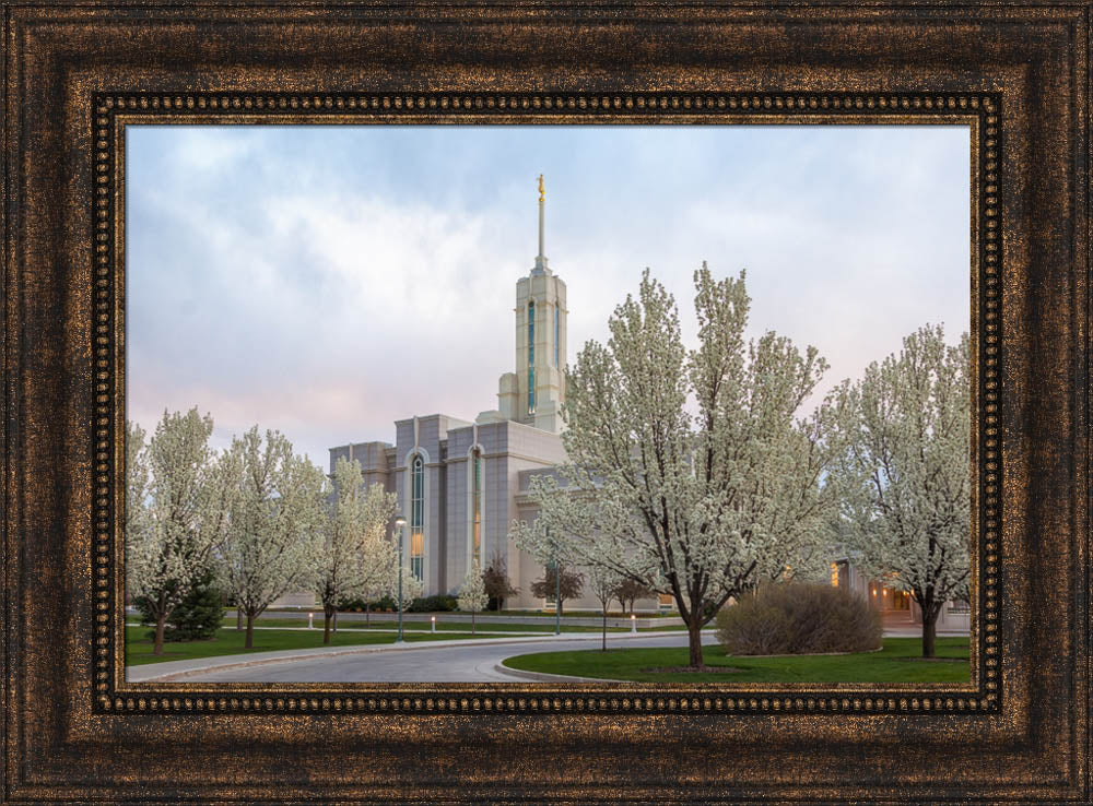 Mt Timpanogos Temple - Spring Blossoms by Robert A Boyd