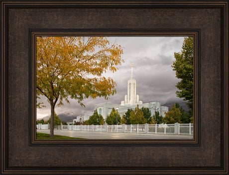 Mt Timpanogos Temple - Fall Yellow Trees by Robert A Boyd