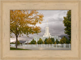 Mt Timpanogos Temple - Fall Yellow Trees by Robert A Boyd