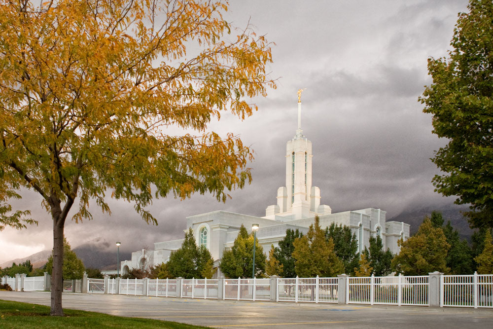Mt Timpanogos Temple - Fall Yellow Trees by Robert A Boyd