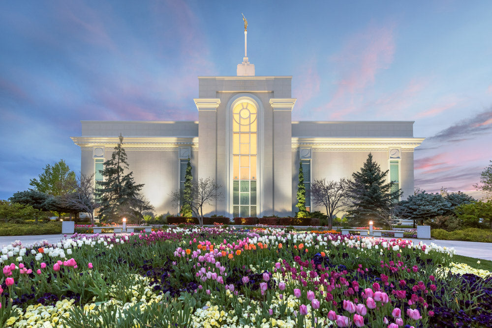 Mt Timpanogos Temple - First Blossom by Robert A Boyd