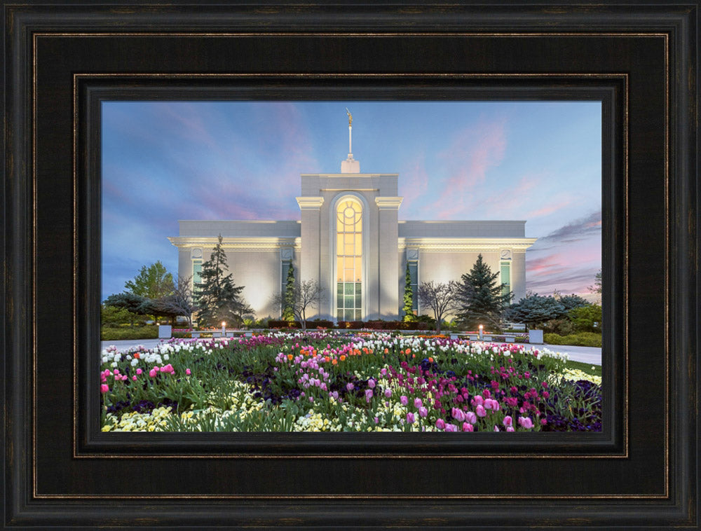 Mt Timpanogos Temple - First Blossom by Robert A Boyd