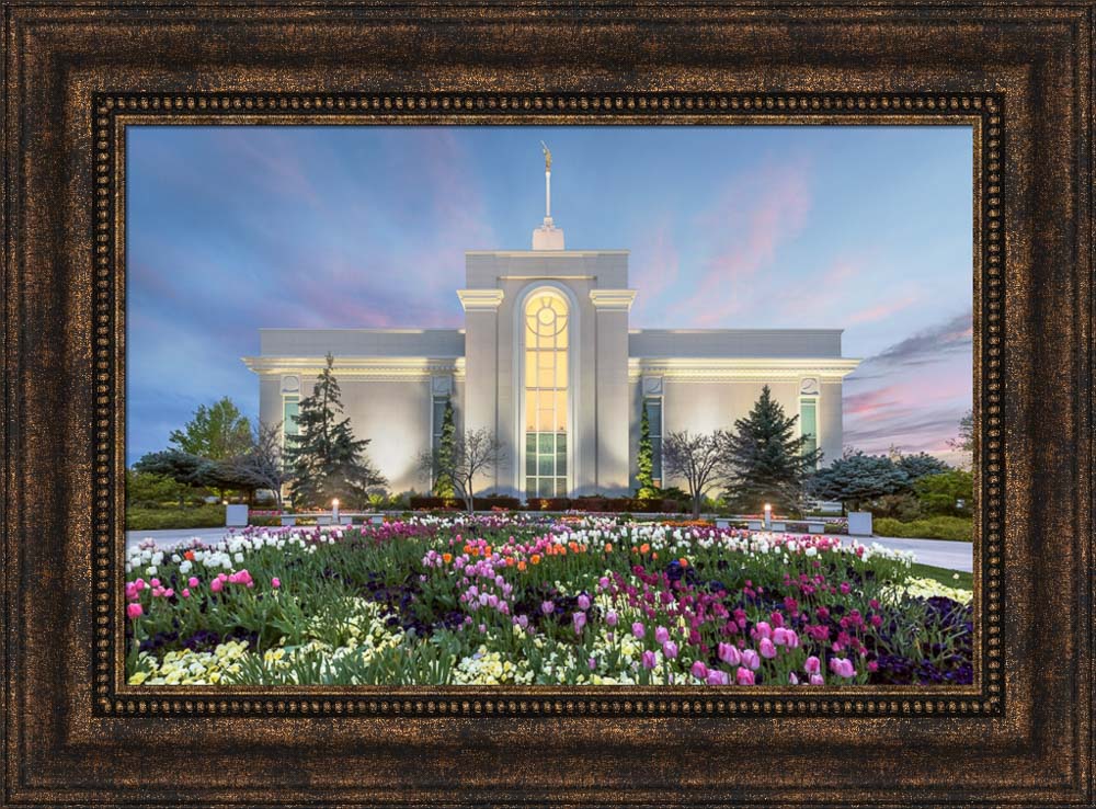 Mt Timpanogos Temple - First Blossom by Robert A Boyd