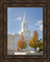 St Louis Temple - Autumn Trees by Robert A Boyd